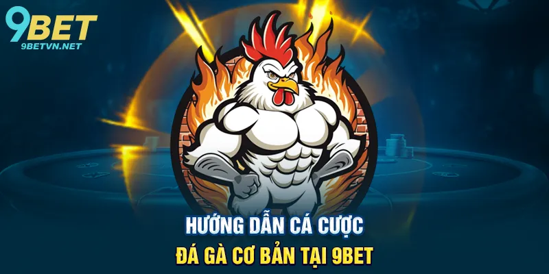 Hướng dẫn cá cược đá gà cơ bản tại 9BET