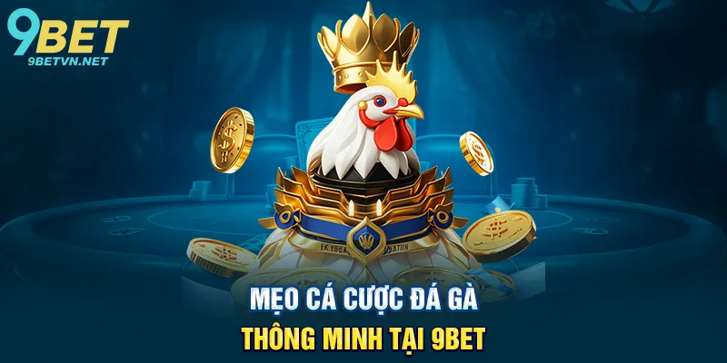 Mẹo cá cược đá gà thông minh tại 9BET